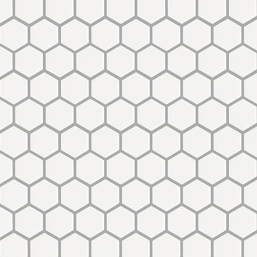 BASIC HEXAGON/OCTAGON