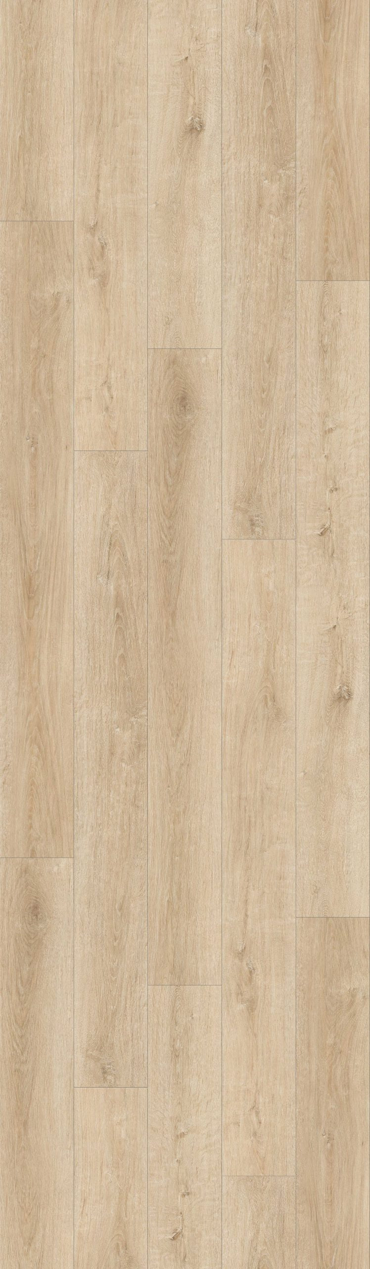 Aria Wood